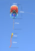 free shipping soft kite flying for adults inflatable kites windsocks kite parachute professional kite factory sell flying toy