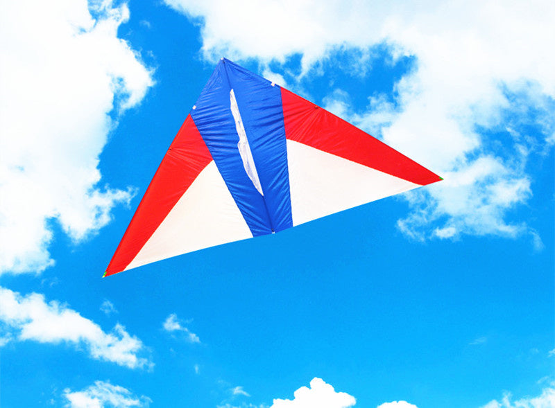 free shipping real parachute kite flying breeze kite for adults kites cerf volant kevlar line paraglider ripstop delta kites