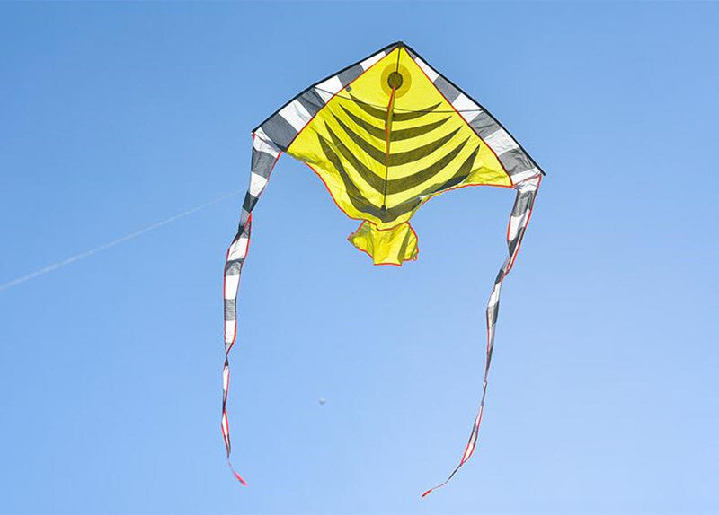 free shipping 10pcs fish kite factory wholesale outdoor flying toy kites for adults kids kite line nylon kite reel new toys