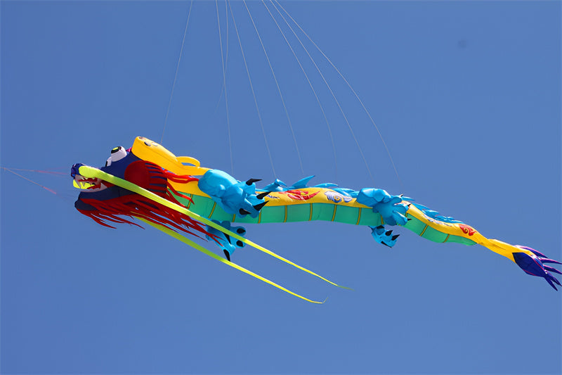 free shipping 15m dragon kite flying for adults kites professional wind kite pendant soft kites traditional kite paraglider