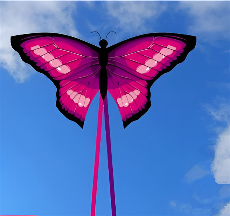 free shipping new butterfly kite flying toys for children kites and rays and lines wind kites line reel volantines Parachute
