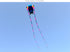 free shipping trilobites kite flying for adults kites inflatable professional kites octopus kite ikite jellyfish soft kites koi