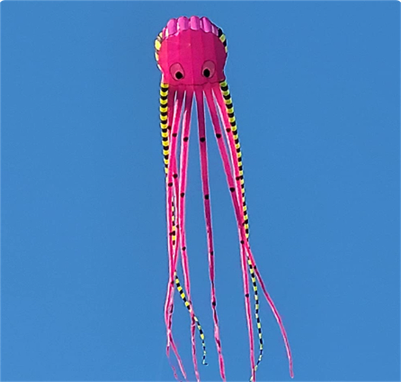 Free Shipping 13color Big Octopus Kite 8m Large Single Line Soft Inflatable Kite 30D Ripstop Polyester Fabric with Bag