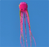 Free Shipping 13color Big Octopus Kite 8m Large Single Line Soft Inflatable Kite 30D Ripstop Polyester Fabric with Bag