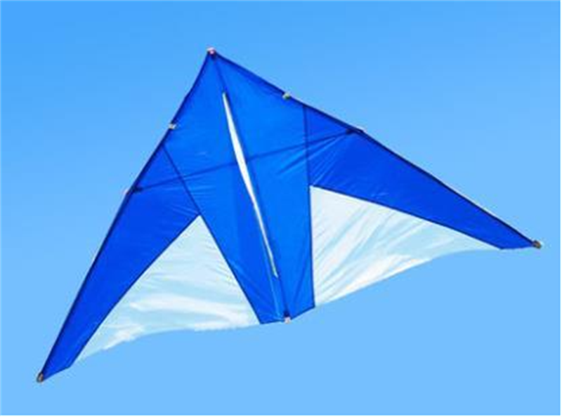free shipping real parachute kite flying breeze kite for adults kites cerf volant kevlar line paraglider ripstop delta kites