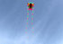free shipping trilobites kite flying for adults kites inflatable professional kites octopus kite ikite jellyfish soft kites koi