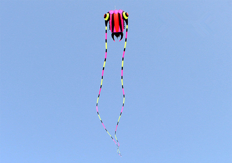 free shipping trilobites kite flying for adults kites inflatable professional kites octopus kite ikite jellyfish soft kites koi