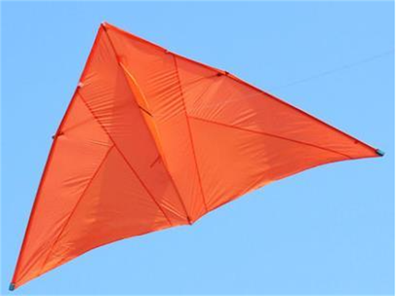 free shipping real parachute kite flying breeze kite for adults kites cerf volant kevlar line paraglider ripstop delta kites