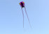 free shipping trilobites kite flying for adults kites inflatable professional kites octopus kite ikite jellyfish soft kites koi
