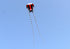 free shipping trilobites kite flying for adults kites inflatable professional kites octopus kite ikite jellyfish soft kites koi