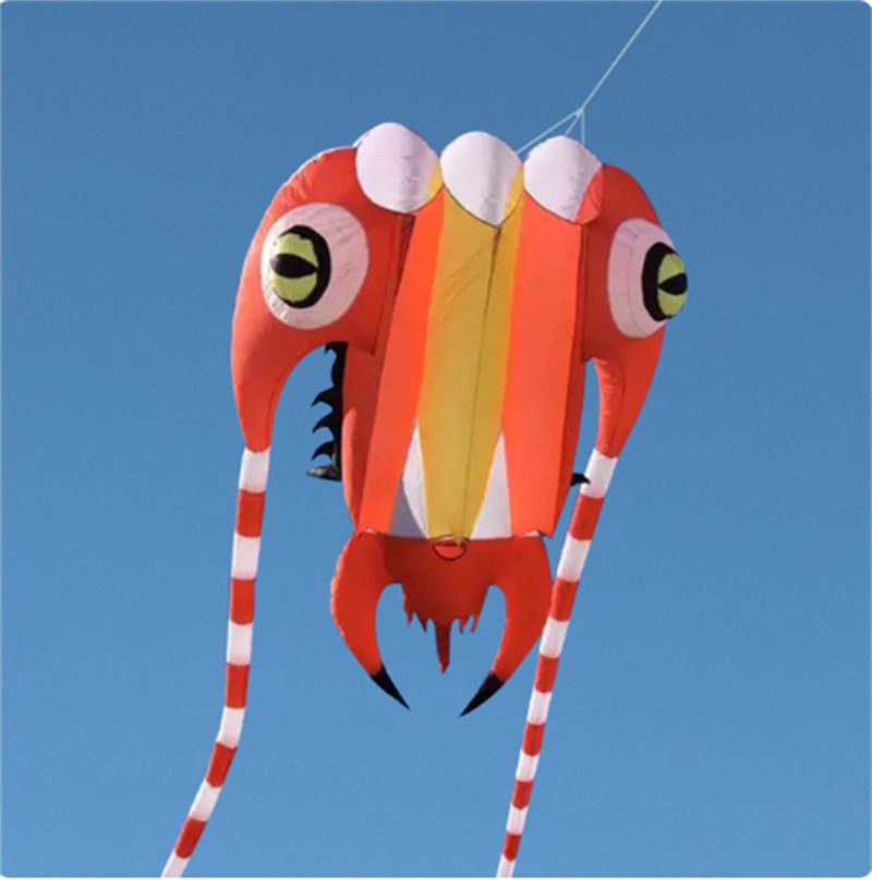 Free Shipping 16sqm Huge Trilobite Kite Pilot Lifter Line Laundry Soft Inflatable Show Kite for Kite Festival 30D Ripstop Nylon with Bag