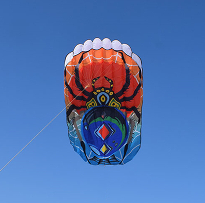 free shipping soft kite flying for adults inflatable kites windsocks kite parachute professional kite factory sell flying toy