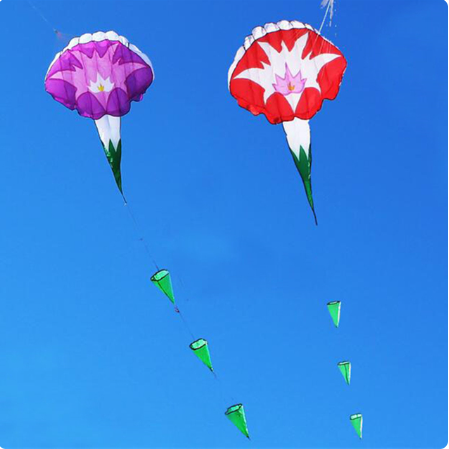 free shipping walk in sky kite factory large kite flying soft kite for adults kite parachute professional kite windsock parapent