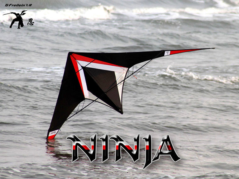 free shipping Freilein kite Factory dual line stunt kite flying professional wind kites for adults reel parapent voar pipe koi