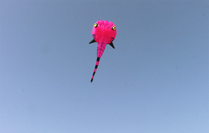 free shipping tadpole kite flying big soft kites fabric adults kites toy animal kite professional kite octopus factory parachute