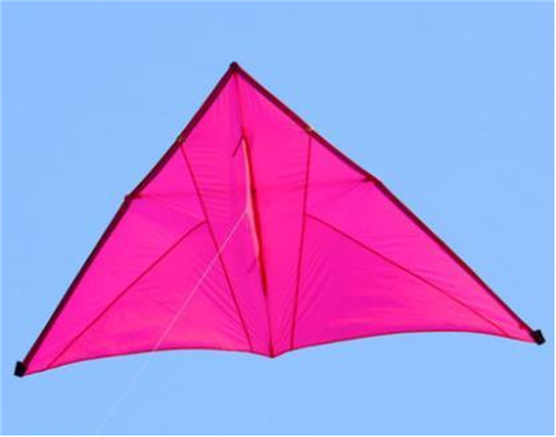 free shipping real parachute kite flying breeze kite for adults kites cerf volant kevlar line paraglider ripstop delta kites
