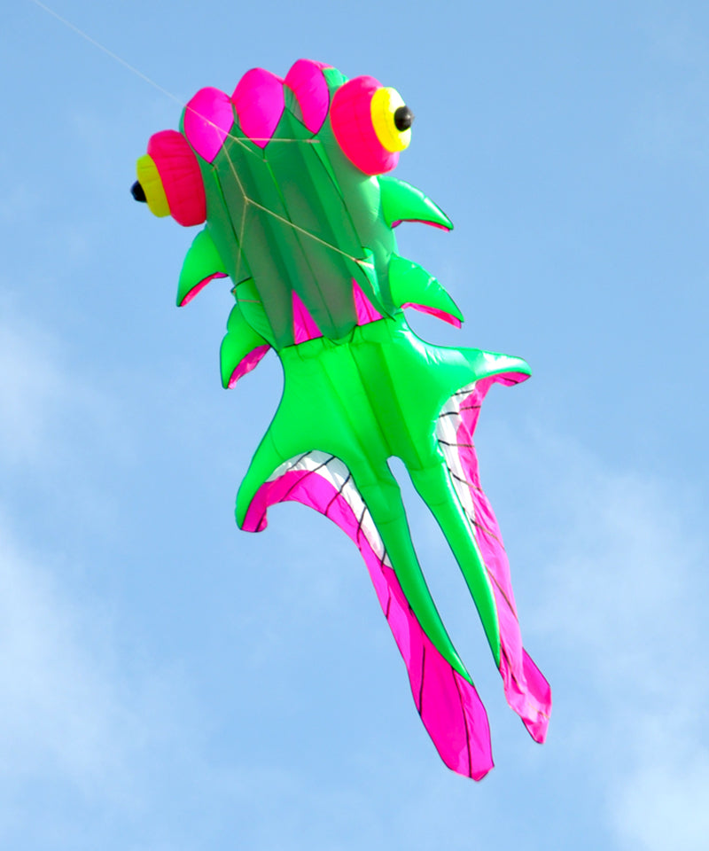 Free Shipping fish kites for adults flying outdoor fun inflatable toys paragliding windsurf kite airplane infant gym string