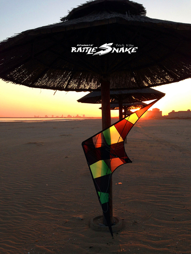 free shipping Freilein kite Factory dual line stunt kite flying professional wind kites for adults reel parapent voar pipe koi