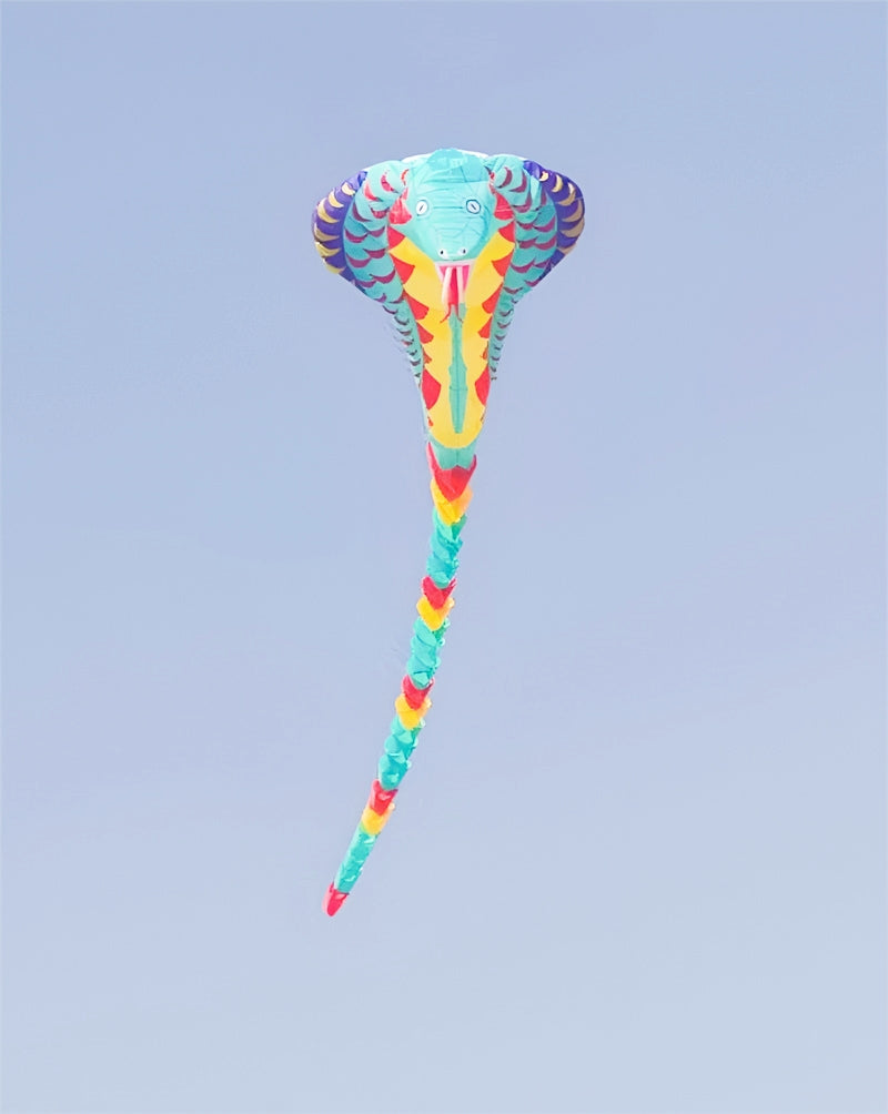 Free Shipping 20m Large kites flying snake kites pendant nylon kites show kites factory Inflatables rubber snake windsurfing