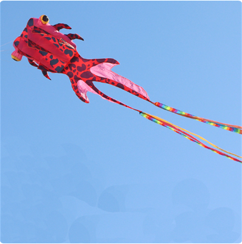 New 3D Boneless Kite for Big Goldfish Adults is a Large High End Three Dimensional Soft Kite That Is Easy to Fly