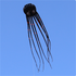 Free Shipping 13color Big Octopus Kite 8m Large Single Line Soft Inflatable Kite 30D Ripstop Polyester Fabric with Bag