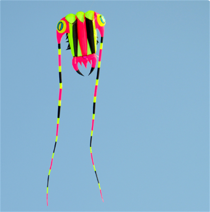 Free Shipping 16sqm Huge Trilobite Kite Pilot Lifter Line Laundry Soft Inflatable Show Kite for Kite Festival 30D Ripstop Nylon with Bag