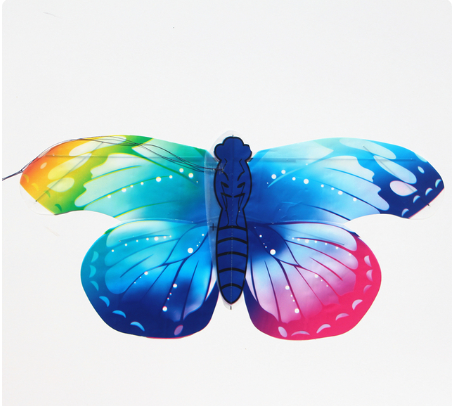 free shipping 2pcs/lot mini kites flying for children kite line 3d kite pocket kite for kids fishing rod dynamic wing PE kite