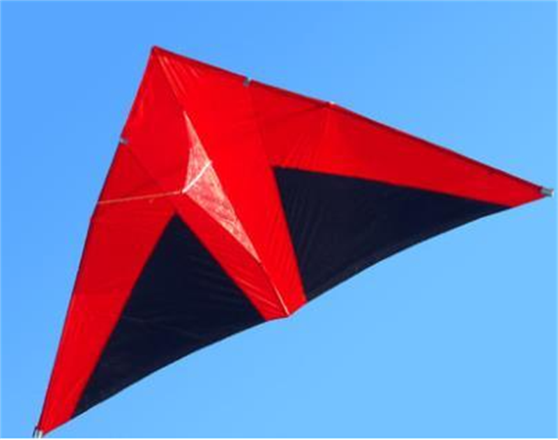 free shipping real parachute kite flying breeze kite for adults kites cerf volant kevlar line paraglider ripstop delta kites