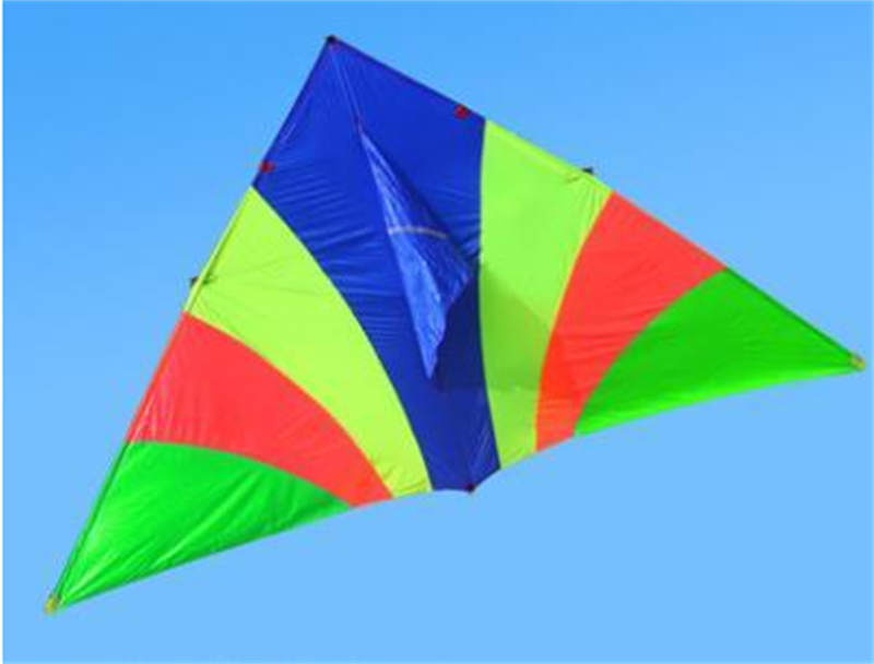 free shipping real parachute kite flying breeze kite for adults kites cerf volant kevlar line paraglider ripstop delta kites