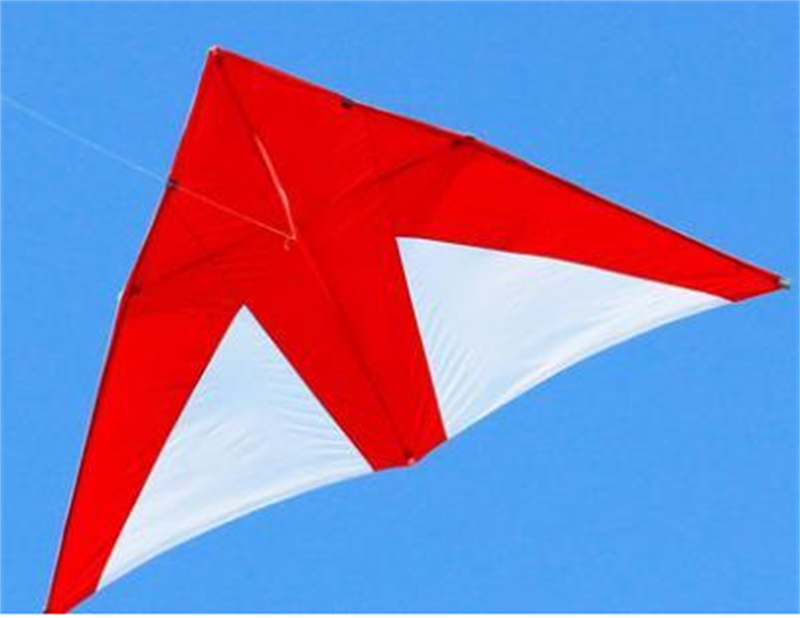 free shipping real parachute kite flying breeze kite for adults kites cerf volant kevlar line paraglider ripstop delta kites