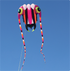 7sqm Big Trilobite Kite Pilot Lifter Line Laundry Soft Inflatable Show Kite for Kite Festival 30D Ripstop Nylon with Bag