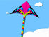 free shipping new kite children kite factory dragon kites flying butterfly kites eagle kites outdoor toys for kids kites bird