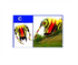 free shipping trilobites kite factory weifang big kite for adults soft kites inflatable kites octopus kite ikite jellyfish kites