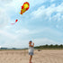 Large soft kite dolphin kite nylon kite line animated kites flying