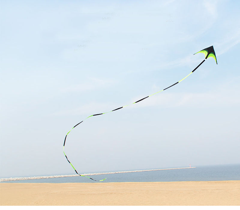 free shipping large delta kite for adults kite nylon toys fly kites children kite reel weifang kite factory ikite eagle bird new kites