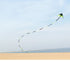 free shipping large delta kite for adults kite nylon toys fly kites children kite reel weifang kite factory ikite eagle bird new kites