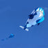 Large soft kite dolphin kite nylon kite line animated kites flying