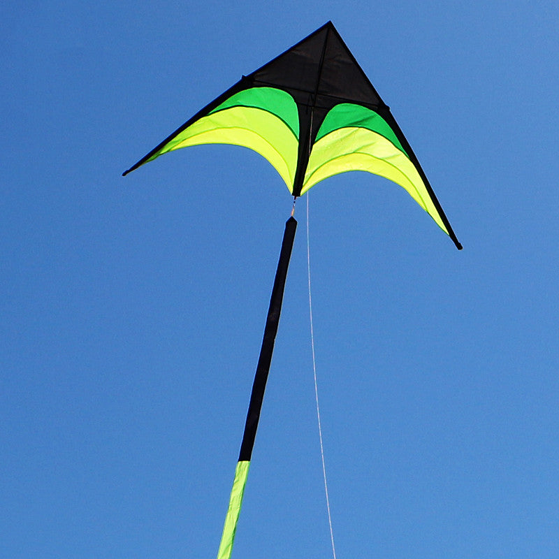 free shipping large delta kite for adults kite nylon toys fly kites children kite reel weifang kite factory ikite eagle bird new kites