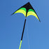 free shipping large delta kite for adults kite nylon toys fly kites children kite reel weifang kite factory ikite eagle bird new kites