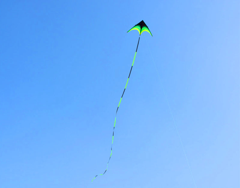 free shipping large delta kite for adults kite nylon toys fly kites children kite reel weifang kite factory ikite eagle bird new kites