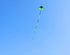free shipping large delta kite for adults kite nylon toys fly kites children kite reel weifang kite factory ikite eagle bird new kites