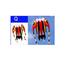 free shipping trilobites kite factory weifang big kite for adults soft kites inflatable kites octopus kite ikite jellyfish kites