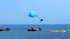 Large soft kite dolphin kite nylon kite line animated kites flying