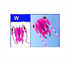 free shipping trilobites kite factory weifang big kite for adults soft kites inflatable kites octopus kite ikite jellyfish kites