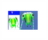 free shipping trilobites kite factory weifang big kite for adults soft kites inflatable kites octopus kite ikite jellyfish kites
