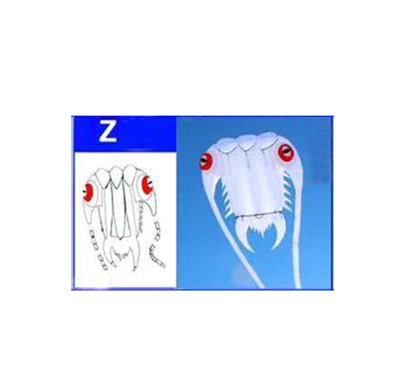 free shipping trilobites kite factory weifang big kite for adults soft kites inflatable kites octopus kite ikite jellyfish kites